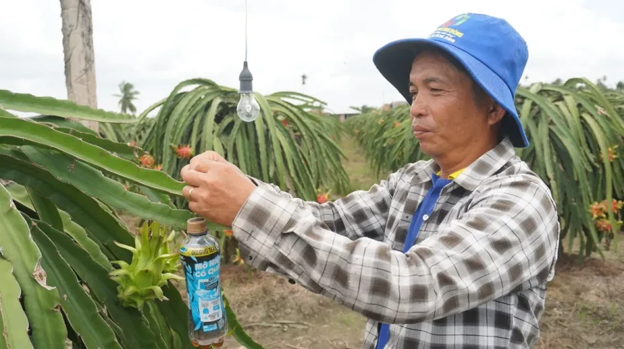 bay-sinh-hoc-tren-cay-thanh-long