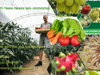 Cách Xử Lý Hoa Cây Sầu Riêng Hiệu Quả Nhất Chỉ Trong 5 Bước