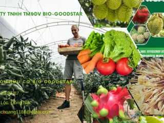 TUYỂN DỤNG NHÂN VIÊN KINH DOANH ĐI THỊ TRƯỜNG