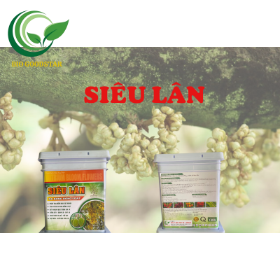 Siêu lân 